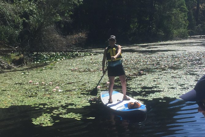 Paddling Thetis Lake - Weather-Dependent Experience