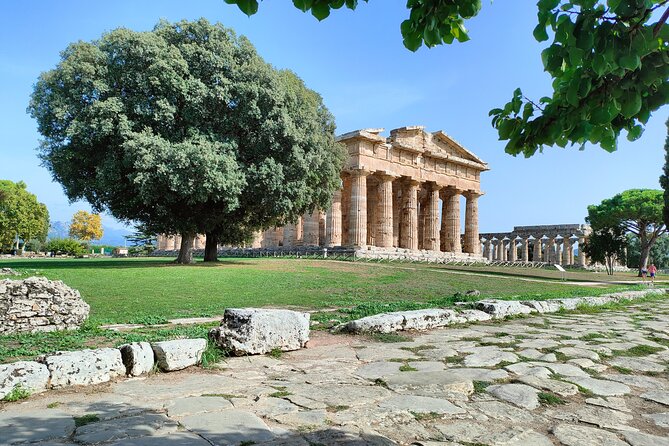 Paestum Traditions, Buffaloes, Ceramics, Temples - Common Questions
