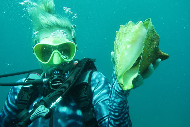 Palm Beach Private Snorkeling Lessons and Tour  - West Palm Beach - Expectations: Expert Guidance, Epic Photos, Refreshments, and Insider Tips