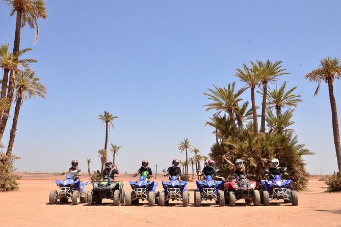 Palm Grove Quad Bike and Camel Ride Tour - Questions and Assistance
