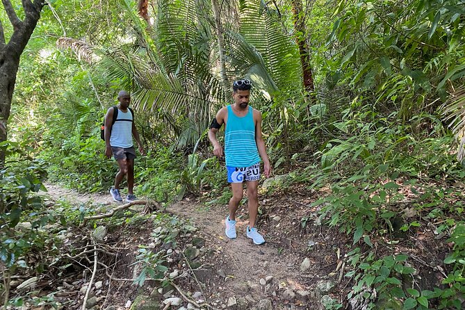 Palo María Waterfalls Hike Half-Day Tour - The Sum Up