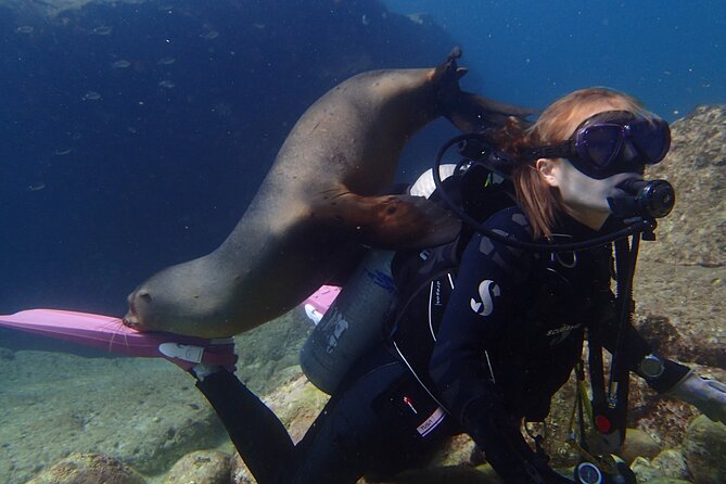 Personalized Fun Dive With 2 Tanks in Cabo San Lucas - Common Questions