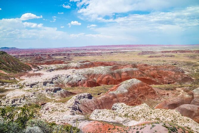 Petrified Forest National Park Self-Guided Driving Audio Tour - The Sum Up