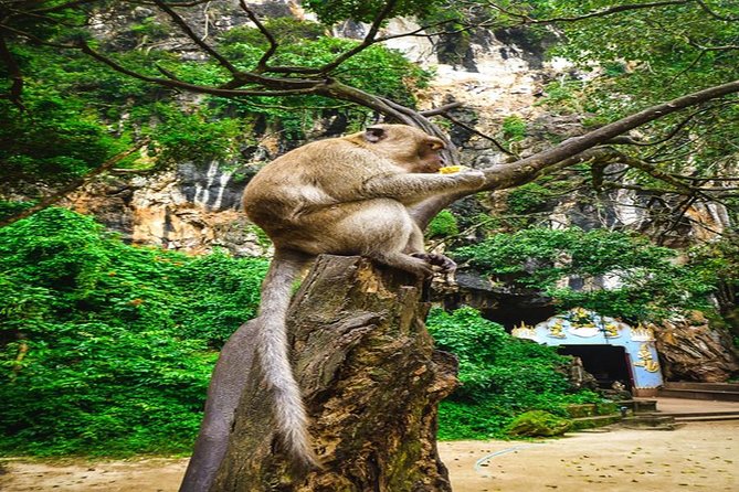 Phang Nga Bay by Long Tail Boat With Canoeing Trip - Tips for a Memorable Experience