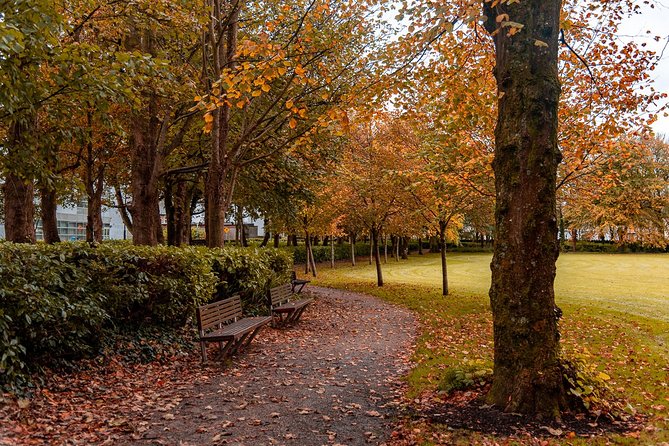 Photography Tour of Galway With an Instagram Influencer - The Sum Up