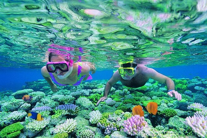 Phuket - 4 Phi Phi Islands 9 Points Snorkel Canoe Paddle Board by Speed Boat - Common Questions