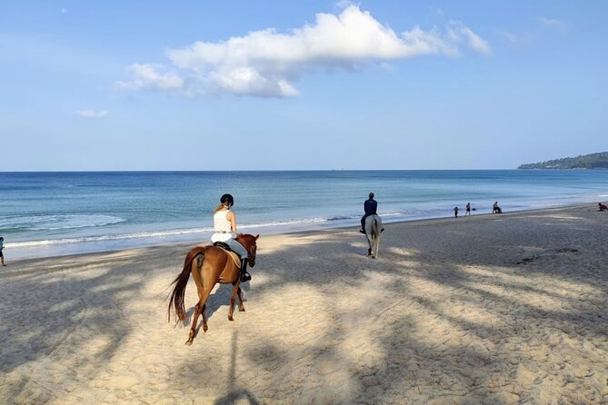 Phuket Beach and Horse Rides 1 Hour Experience - Note on Content and Review Sources