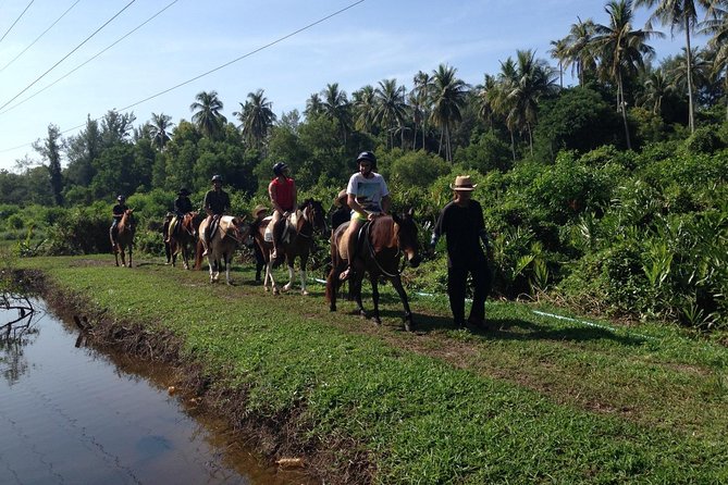 Phuket Horse Riding Club - The Sum Up