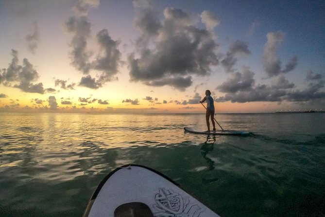 Playa Del Carmen Paddleboard: Sunrise Guided Paddle - The Sum Up