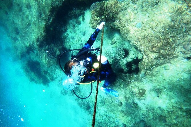 Pleasure Scuba Diving in Fujairah for Certified Diver - Planning Your Scuba Diving Trip in Fujairah