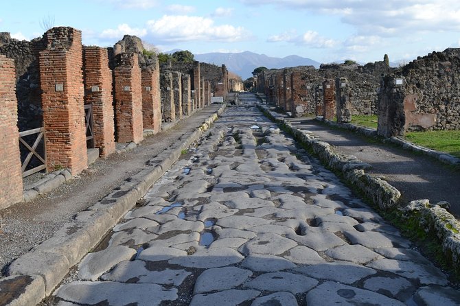 Pompeii Small-Group Half-Day Tour With Transit  - Naples - The Sum Up