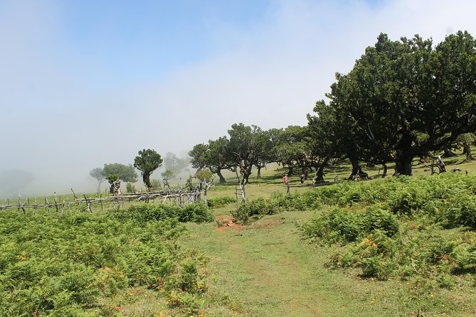 Porto Moniz - Enchanted Terraces: Open 4x4 Full Day Tour - Directions