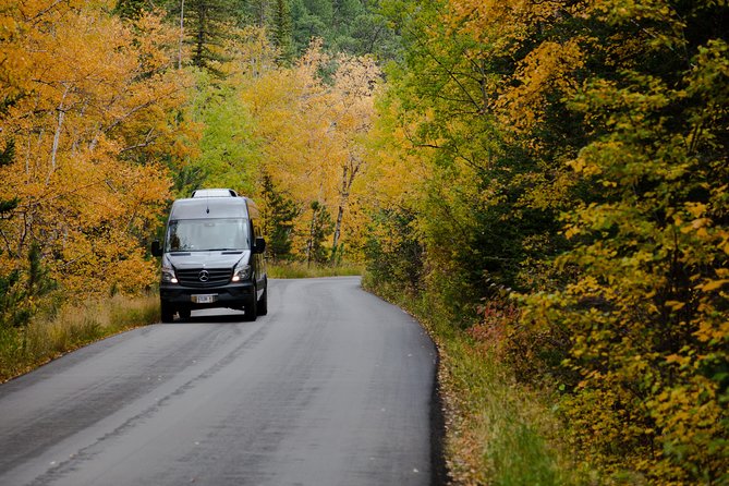 Premiere Private Black Hills Tour: Mt Rushmore, Crazy Horse & Custer State Park - The Sum Up