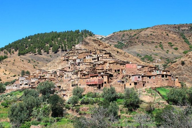 Premium Atlas Mountains Day Trip With Camel Ride Experience - Traveler Photos and Reviews