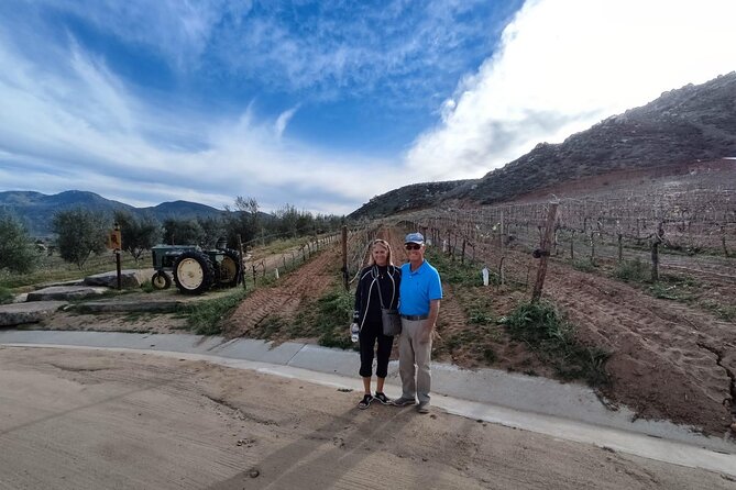 Premium Valle De Guadalupe Wine and Food Tour - Common Questions