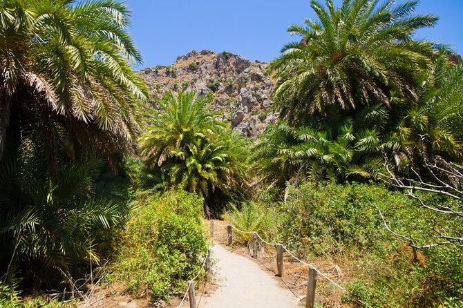 Preveli Palm Beach Boat Cruise & Rethymnon Town From Heraklion - Common Questions