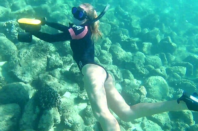 Princeville - Snorkeling Shore Excursion - Common Questions