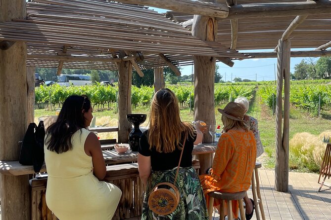 Private 1/2 Day Wine Tour St-Tropez - Good To Know