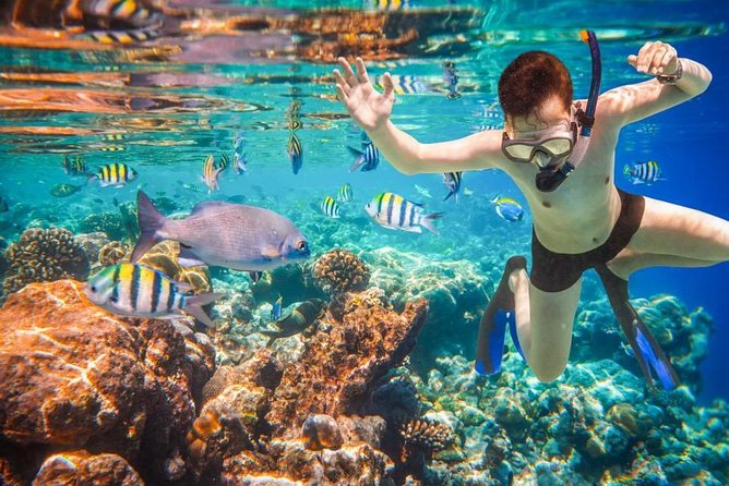 Private 3-Hour Snorkeling Tour on Glass Bottom Boat - Common Questions