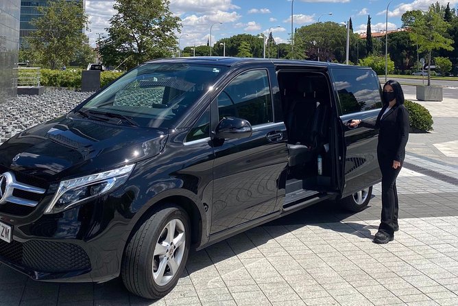 Private 4-Hour City Tour of Alicante (Cruise Port or Hotel Pick Up) - The Sum Up