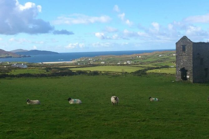 Private 7 Day Custom Luxury Car MPV Tour Of The South & South West Ireland - Common Questions
