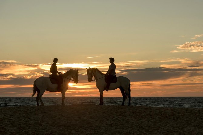 Private 75-Minute Horseback Riding Excursion on the Beach in  - Setubal District - Common Questions