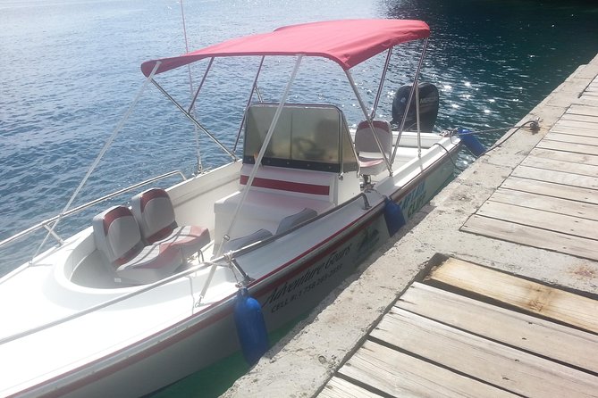 Private Boat to Soufriere/West Coast For Swimming Snorkeling & Beach Relaxation - The Sum Up