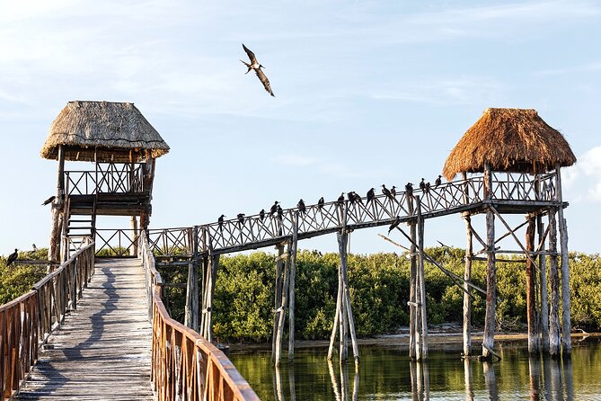 Private Boat to Visit Holbox Surroundings (3-Island Tour) - Passion Island