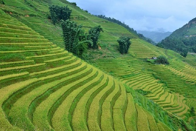 Private Car and Tour Guide Exploring Northern Vietnam - Common Questions