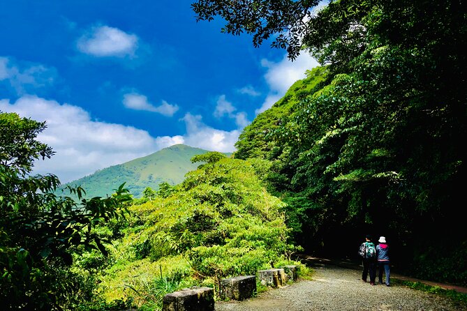 Private Car Charter in Yangmingshan Park(Pro Guide Driver) - Tips for a Great Experience