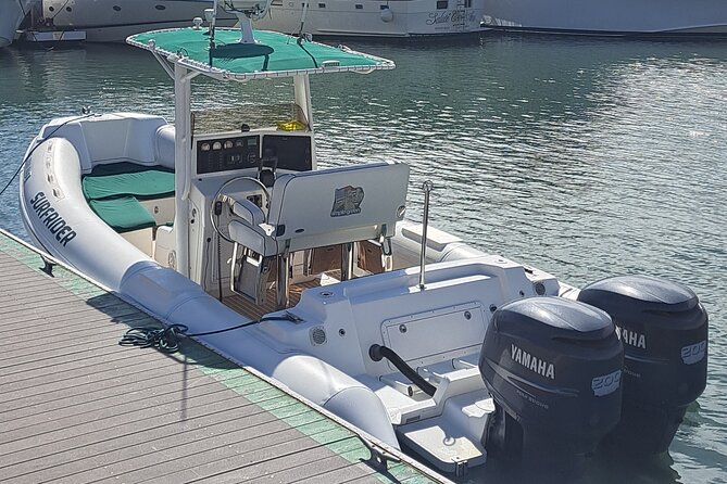 Private Dolphin and Whale Watching Tour in Newport Beach - Common Questions