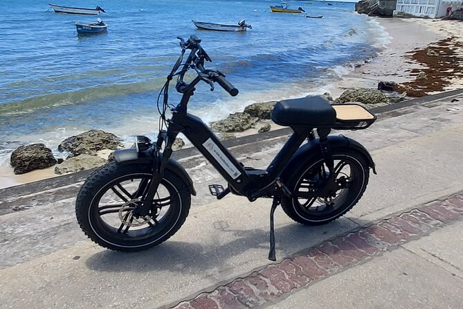 Private E-bike Adventure Tours of Barbados - Common Questions