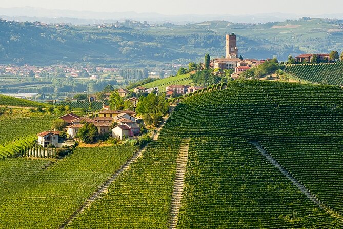 Private E-Bike Tour " Langhe Del Barbaresco " - Asphalt Only - Good To Know