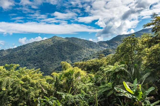 Private El Yunque Rainforest and Waterfalls Tour With Transport - Good To Know