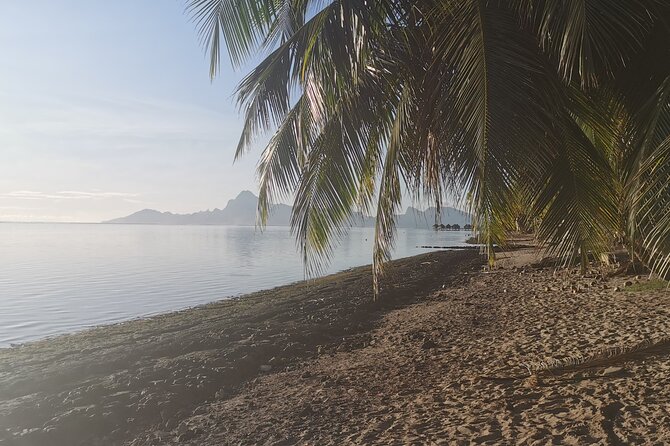 Private Fishing by Boat off the West Coast of Tahiti - Additional Information and Support