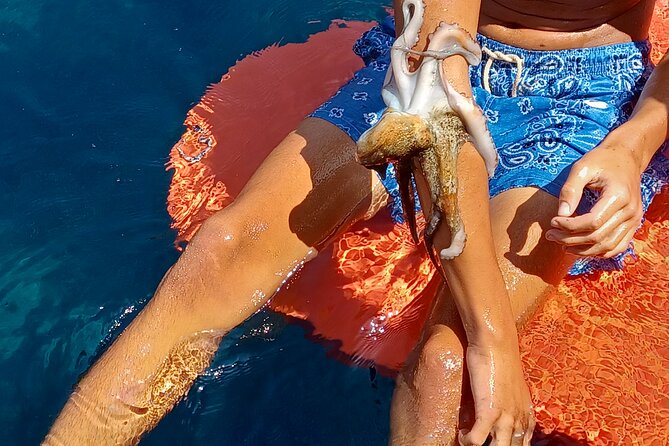 Private Fishing Trips, Lunch on Board & Island Hopping - The Sum Up