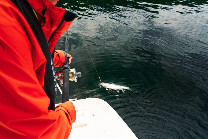Private Fjord Cruise Modalen in Bergen - The Sum Up
