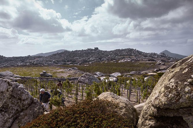 Private Food Tour & Wine Tasting in Tinos Island With a Local - Customer Reviews and Ratings