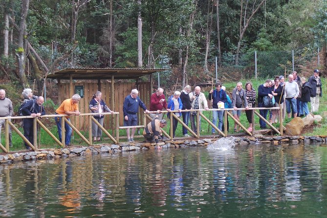 Private Full Day 4X4 Tour: East or West - Questions and Help Center