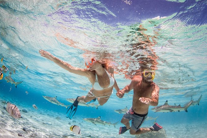 Private Full Day Aquatic Photo Tour Resort Photo-Shoot (All Inclusive) - Scenic Spots and Waterproof Cameras