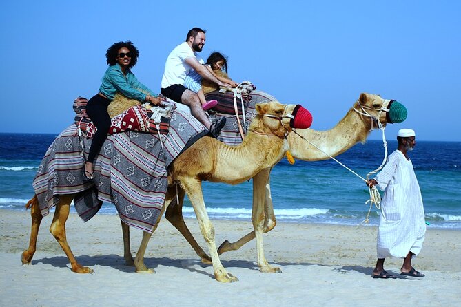 Private Full Day Desert Safari - The Sum Up