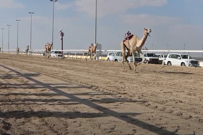 Private Full Day Guided Tour in Qatar North and West - Common Questions
