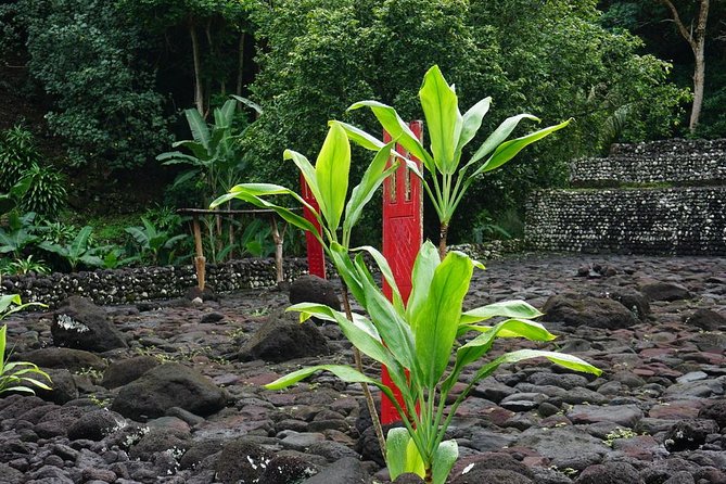 Private Full Day Tour Around Tahiti: the Islands Nature Wonders - Common Questions