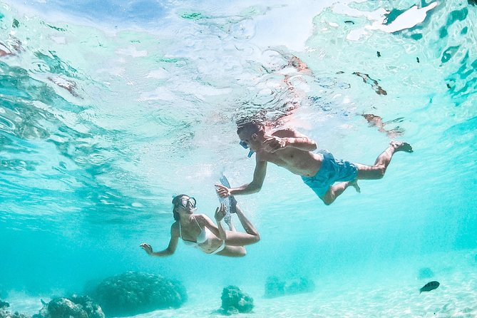 PRIVATE Full Day Tour : Moorea Snorkeling & Sailing on a Catamaran Named Taboo - Common Questions