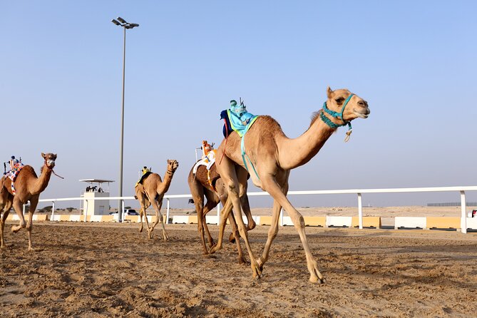 Private Full Day West of Qatar and Education City Tour - Common Questions
