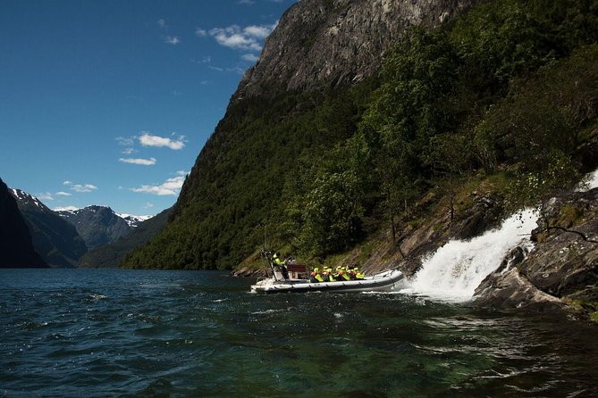 Private Guided Day Tour - RIB Nærøyfjord Safari & Flåm Railway - Pricing and Booking Information