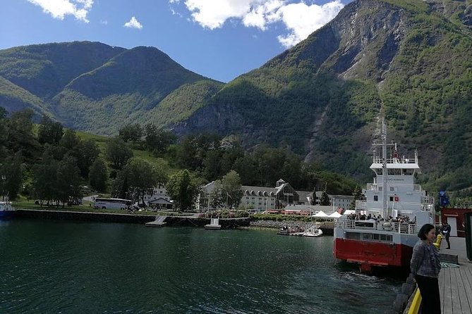 Private Guided Tour - Premium Nærøyfjord Cruise and Flåm Railway - The Sum Up