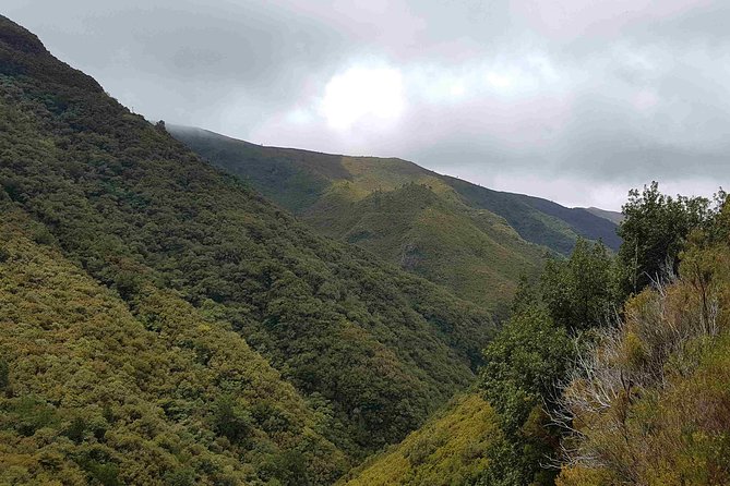 Private Guided Walk Levada 25 Fontes - Common Questions