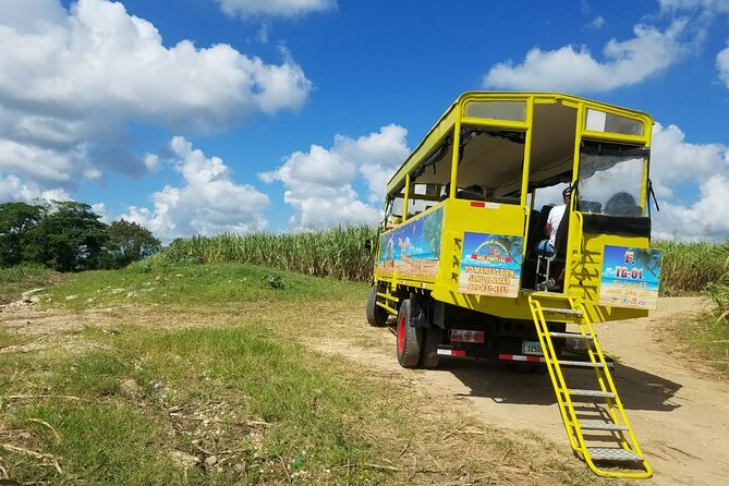 Private Half-Day Culture Tour With Village and Farm Visits  - Punta Cana - Price and Copyright