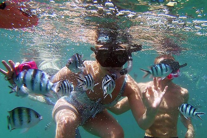 Private Half-Day Red Dragon Yacht for Snorkeling Koh Tan & Visit Pig Island - The Sum Up